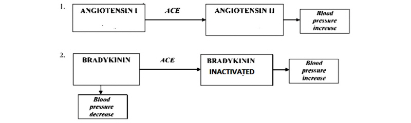 http://static.apub.kr/journalsite/sites/ales/2017-029-03/N0250290301/images/Figure_ales_29_03_01_F1.jpg