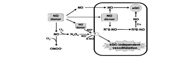 http://static.apub.kr/journalsite/sites/ales/2017-029-03/N0250290301/images/Figure_ales_29_03_01_F3.jpg