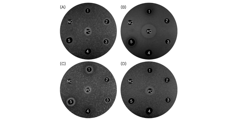 http://static.apub.kr/journalsite/sites/ales/2017-029-03/N0250290303/images/Figure_ales_29_03_03_F1.jpg