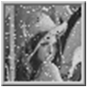 http://static.apub.kr/journalsite/sites/ask/2013-032-02/0660320201/images/PICBA71.gif