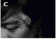 http://static.apub.kr/journalsite/sites/ask/2013-032-05/N0660320508/images/PIC5B3A.gif
