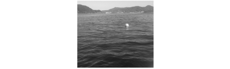 http://static.apub.kr/journalsite/sites/ask/2016-035-04/N0660350407/images/Figure_ASK_35_04_07_F2.jpg