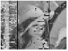 http://static.apub.kr/journalsite/sites/ask/2016-035-04/N0660350407/images/PIC4C01.gif