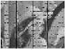 http://static.apub.kr/journalsite/sites/ask/2016-035-04/N0660350407/images/PIC4CCF.gif
