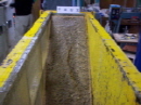 http://static.apub.kr/journalsite/sites/kgs/2013-029-01/N0990290105/images/PIC6DF0.JPG