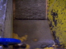 http://static.apub.kr/journalsite/sites/kgs/2013-029-01/N0990290105/images/PIC7B94.JPG