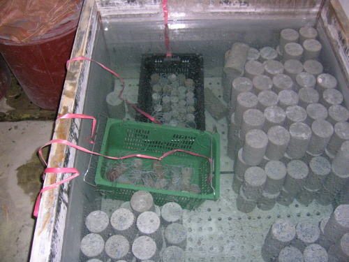 http://static.apub.kr/journalsite/sites/kgs/2013-029-01/N0990290113/images/PIC3B92.JPG