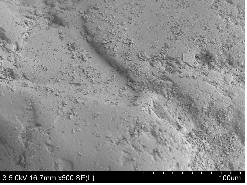 http://static.apub.kr/journalsite/sites/kgs/2013-029-02/N0990290203/images/PIC7DA5.gif