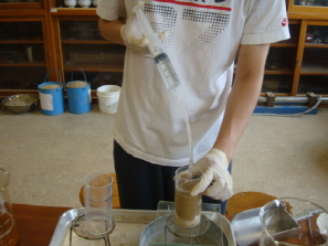 http://static.apub.kr/journalsite/sites/kgs/2013-029-02/N0990290207/images/PICD88A.JPG