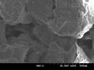 http://static.apub.kr/journalsite/sites/kgs/2013-029-04/N0990290405/images/PIC14B.png