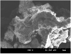 http://static.apub.kr/journalsite/sites/kgs/2013-029-04/N0990290405/images/PIC1E9.gif