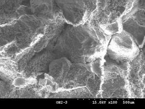 http://static.apub.kr/journalsite/sites/kgs/2013-029-04/N0990290405/images/PIC1F9.png