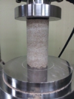 http://static.apub.kr/journalsite/sites/kgs/2013-029-04/N0990290405/images/PICFE22.jpg