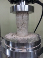 http://static.apub.kr/journalsite/sites/kgs/2013-029-04/N0990290405/images/PICFE65.jpg