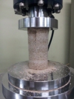 http://static.apub.kr/journalsite/sites/kgs/2013-029-04/N0990290405/images/PICFE96.jpg