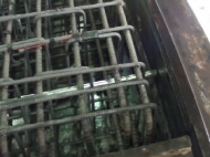 http://static.apub.kr/journalsite/sites/kgs/2013-029-06/N0990290603/images/PIC8262.JPG