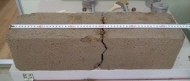 http://static.apub.kr/journalsite/sites/kgs/2013-029-06/N0990290604/images/PICD783.jpg