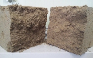 http://static.apub.kr/journalsite/sites/kgs/2013-029-06/N0990290604/images/PICE0BB.jpg