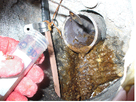 http://static.apub.kr/journalsite/sites/kgs/2013-029-07/N0990290701/images/PIC4F19.gif