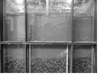 http://static.apub.kr/journalsite/sites/kgs/2013-029-11/N0990291102/images/PIC6DAC.gif