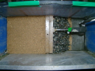 http://static.apub.kr/journalsite/sites/kgs/2013-029-11/N0990291103/images/PIC1882.jpg