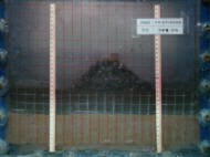 http://static.apub.kr/journalsite/sites/kgs/2013-029-11/N0990291103/images/PIC527.jpg