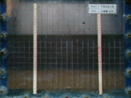 http://static.apub.kr/journalsite/sites/kgs/2013-029-11/N0990291103/images/PICDD25.jpg