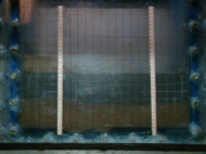 http://static.apub.kr/journalsite/sites/kgs/2013-029-11/N0990291103/images/PICE083.jpg