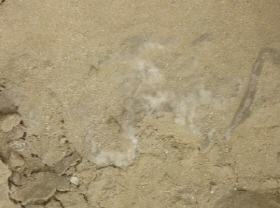 http://static.apub.kr/journalsite/sites/kgs/2013-029-11/N0990291104/images/PIC87C1.jpg