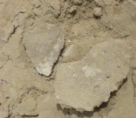 http://static.apub.kr/journalsite/sites/kgs/2013-029-11/N0990291104/images/PIC8810.jpg