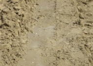 http://static.apub.kr/journalsite/sites/kgs/2013-029-11/N0990291104/images/PIC8A78.jpg
