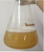 http://static.apub.kr/journalsite/sites/kgs/2014-030-01/0990300108/images/PIC2E76.gif
