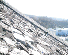 http://static.apub.kr/journalsite/sites/kgs/2014-030-05/N0990300501/images/PIC6A7A.gif