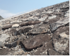 http://static.apub.kr/journalsite/sites/kgs/2014-030-05/N0990300501/images/PIC6EC1.gif