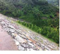 http://static.apub.kr/journalsite/sites/kgs/2014-030-05/N0990300501/images/PIC858F.gif