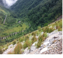 http://static.apub.kr/journalsite/sites/kgs/2014-030-05/N0990300501/images/PIC864C.gif