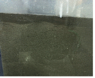 http://static.apub.kr/journalsite/sites/kgs/2014-030-06/N0990300602/images/PIC3AA7.gif