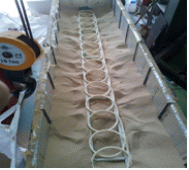 http://static.apub.kr/journalsite/sites/kgs/2014-030-07/N0990300705/images/PIC9842.gif