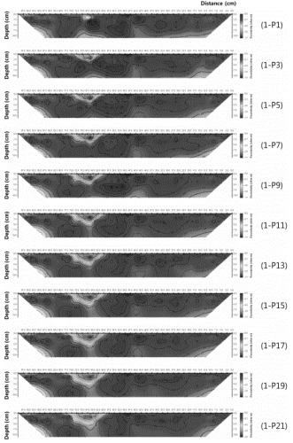 http://static.apub.kr/journalsite/sites/kgs/2014-030-10/N099301002/images/PICF629.gif