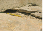 http://static.apub.kr/journalsite/sites/kgs/2014-030-11/N0990301101/images/PIC5691.gif