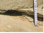 http://static.apub.kr/journalsite/sites/kgs/2014-030-11/N0990301101/images/PIC570F.gif