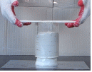 http://static.apub.kr/journalsite/sites/kgs/2014-030-11/N0990301103/images/PIC4AB4.gif