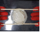 http://static.apub.kr/journalsite/sites/kgs/2014-030-11/N0990301103/images/PIC69C8.gif
