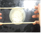 http://static.apub.kr/journalsite/sites/kgs/2014-030-11/N0990301103/images/PIC8904.gif