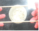 http://static.apub.kr/journalsite/sites/kgs/2014-030-11/N0990301103/images/PIC8DC0.gif