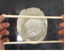 http://static.apub.kr/journalsite/sites/kgs/2014-030-11/N0990301103/images/PICB34A.gif