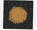 http://static.apub.kr/journalsite/sites/kgs/2014-030-11/N0990301103/images/PICF54A.gif