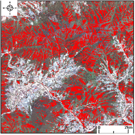 http://static.apub.kr/journalsite/sites/kgs/2014-030-12/N0990301202/images/PICB19B.gif