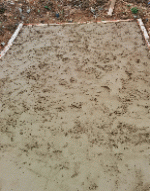 http://static.apub.kr/journalsite/sites/kgs/2015-031-01/N0990310104/images/PIC61BC.gif
