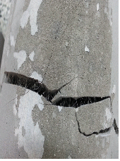 http://static.apub.kr/journalsite/sites/kgs/2015-031-03/N0990310301/images/PICCBB4.gif
